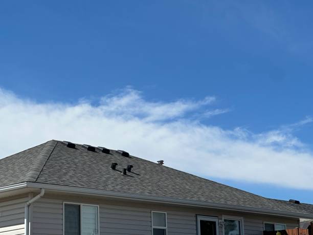 Best Steel Roofing  in Christiansburg, VA